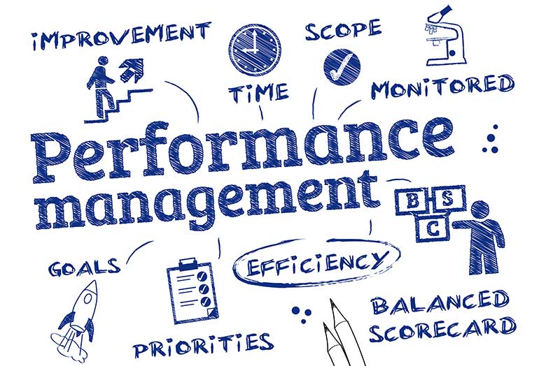 Performance Management Consulting